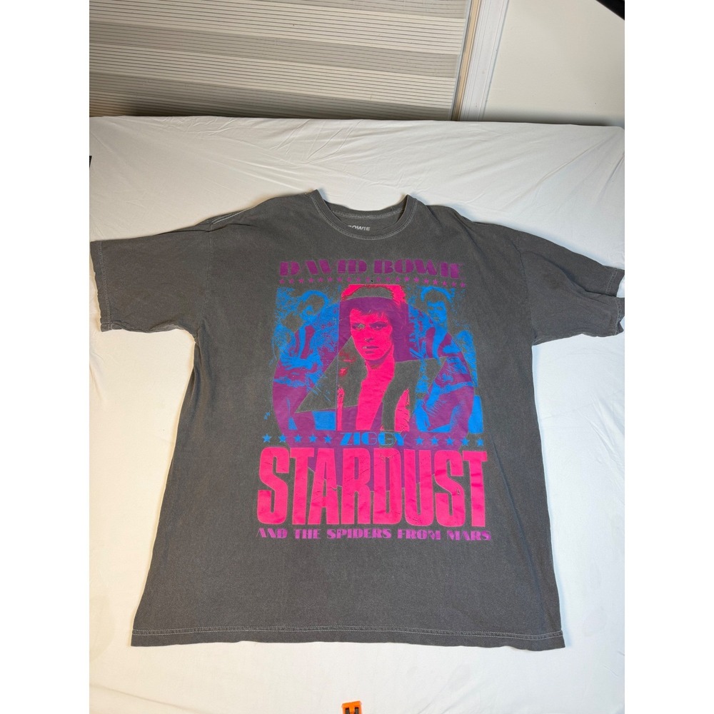 David Bowie Ziggy Stardust Spiders from Mars Graphic Tee Gray Oversized  S/M
